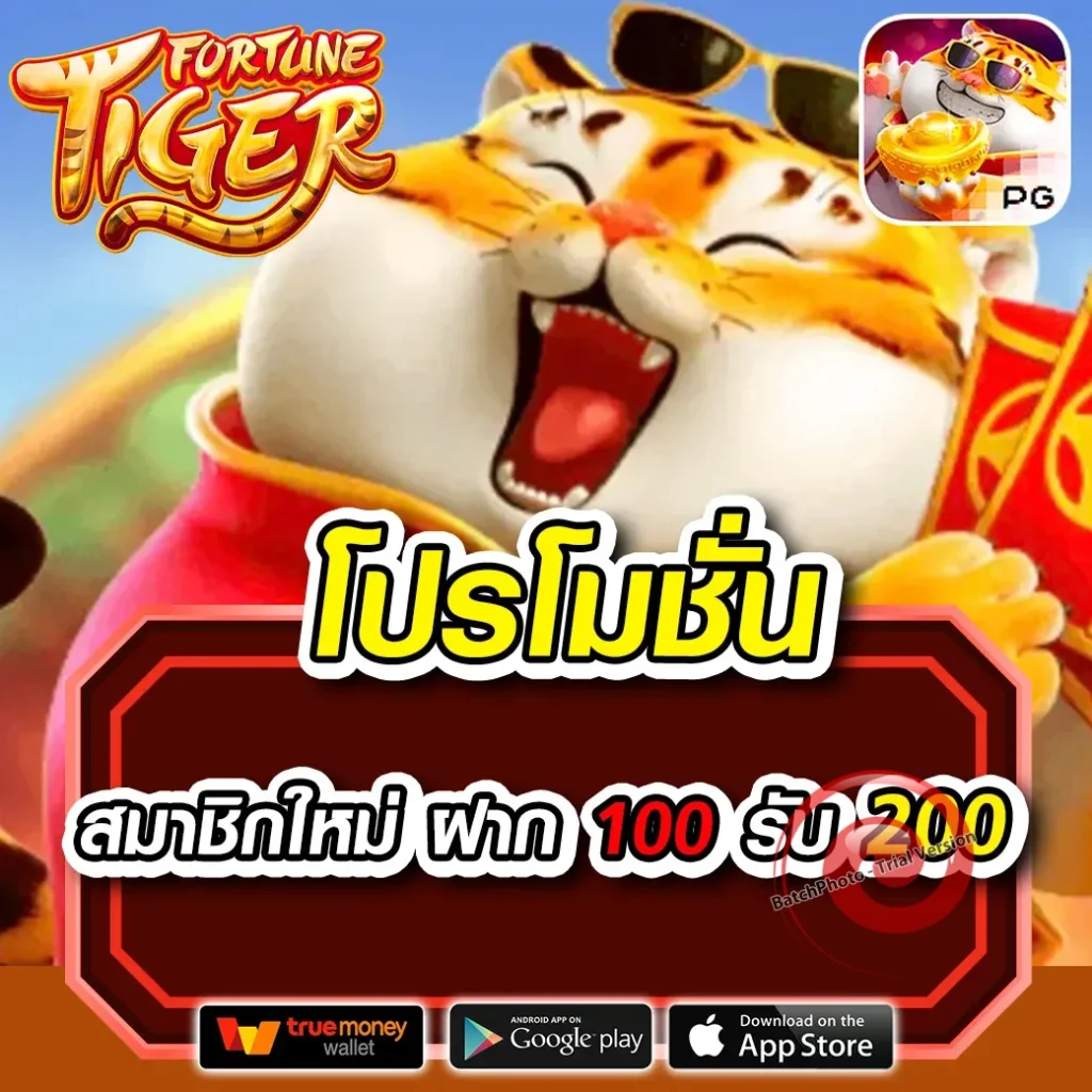 gnw 99 gtr เล่นง่าย